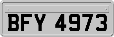 BFY4973