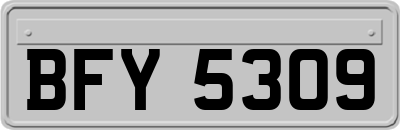 BFY5309