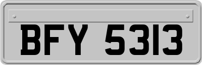 BFY5313