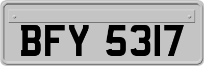 BFY5317