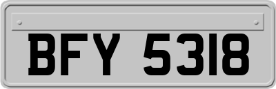 BFY5318