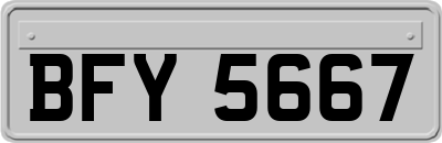 BFY5667