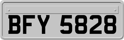 BFY5828