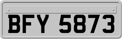 BFY5873