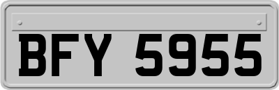 BFY5955