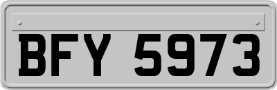 BFY5973