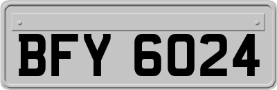 BFY6024