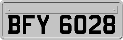BFY6028