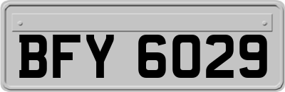 BFY6029