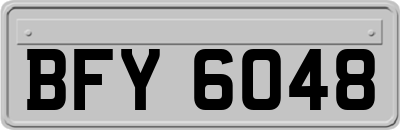 BFY6048