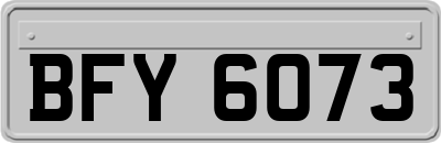 BFY6073