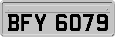 BFY6079