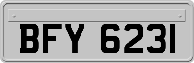 BFY6231