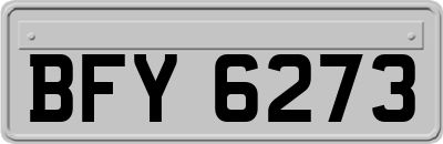 BFY6273