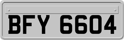 BFY6604