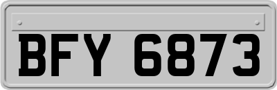 BFY6873