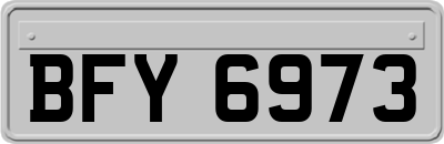 BFY6973
