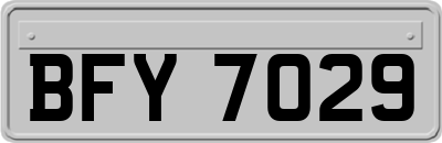 BFY7029
