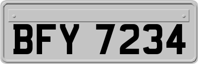 BFY7234