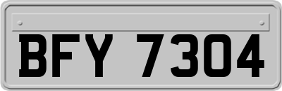 BFY7304