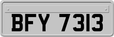 BFY7313