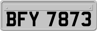 BFY7873