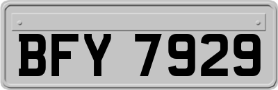 BFY7929