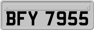 BFY7955