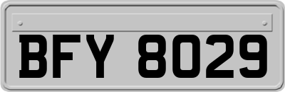 BFY8029