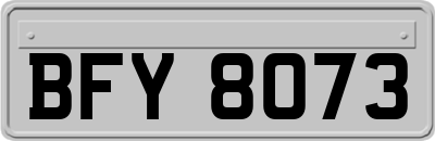BFY8073