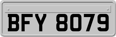 BFY8079