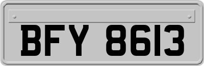 BFY8613