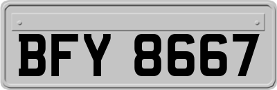 BFY8667