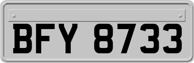 BFY8733