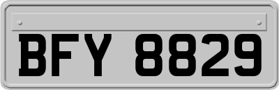 BFY8829