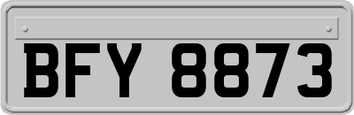 BFY8873