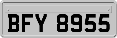 BFY8955