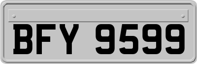 BFY9599