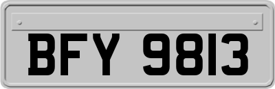 BFY9813