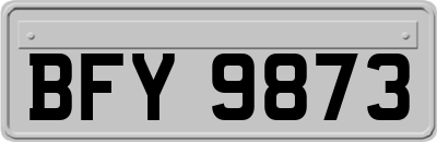 BFY9873