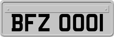 BFZ0001