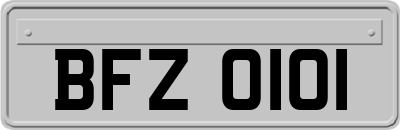 BFZ0101