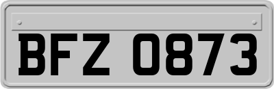 BFZ0873