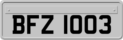 BFZ1003