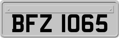 BFZ1065