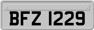 BFZ1229