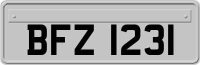BFZ1231