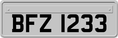 BFZ1233