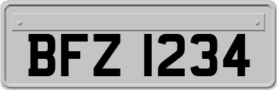 BFZ1234