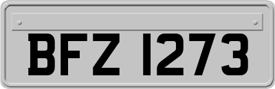 BFZ1273